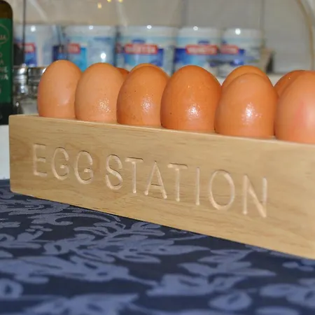 Hotel Susy - Bakery & Gluten Free Made - Direttamente Su Viale Dante A Due Passi Dal Mare